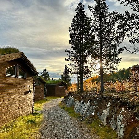 Bjornfjell Mountain Lodge 阿尔塔 外观 照片